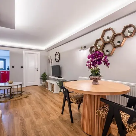 Artistically Designed 1br Flat With Ac In Cihangir *